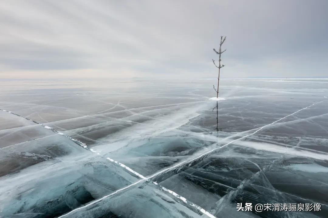 ipa国际动态摄影大赛获奖作品,2020年ipa摄影奖获奖作品