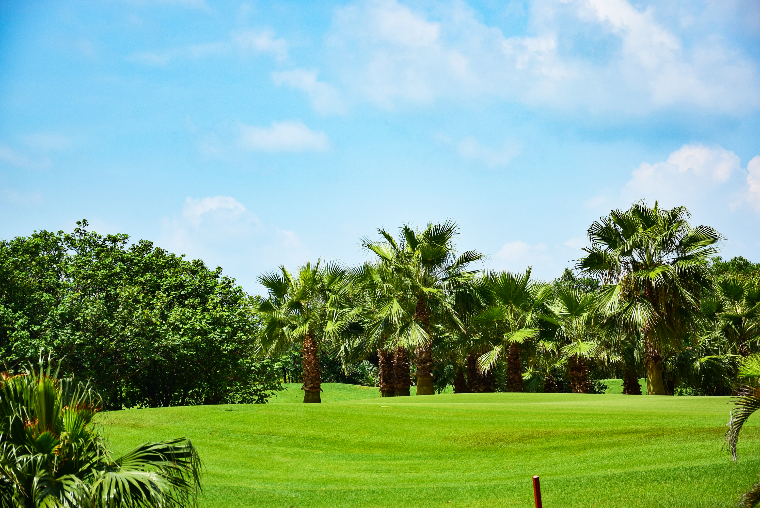 北海观山海高尔夫,北海最美打卡地