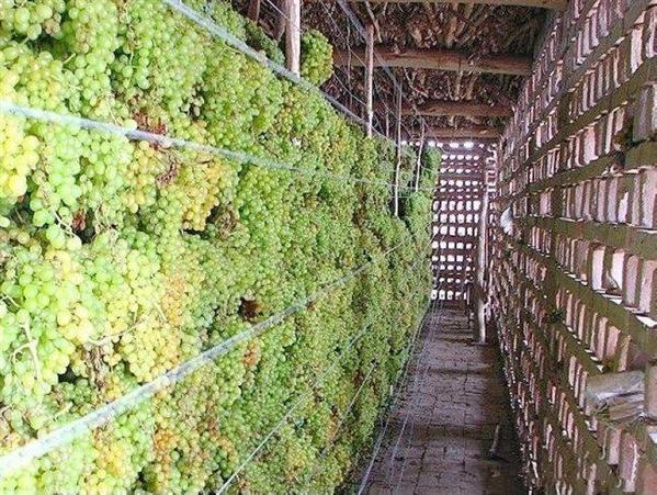 内地人喜欢的新疆干果有哪些,盘点新疆特产是什么