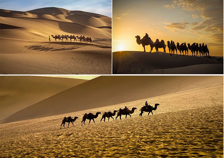 画沙漠的儿童画,沙漠风情画儿童画