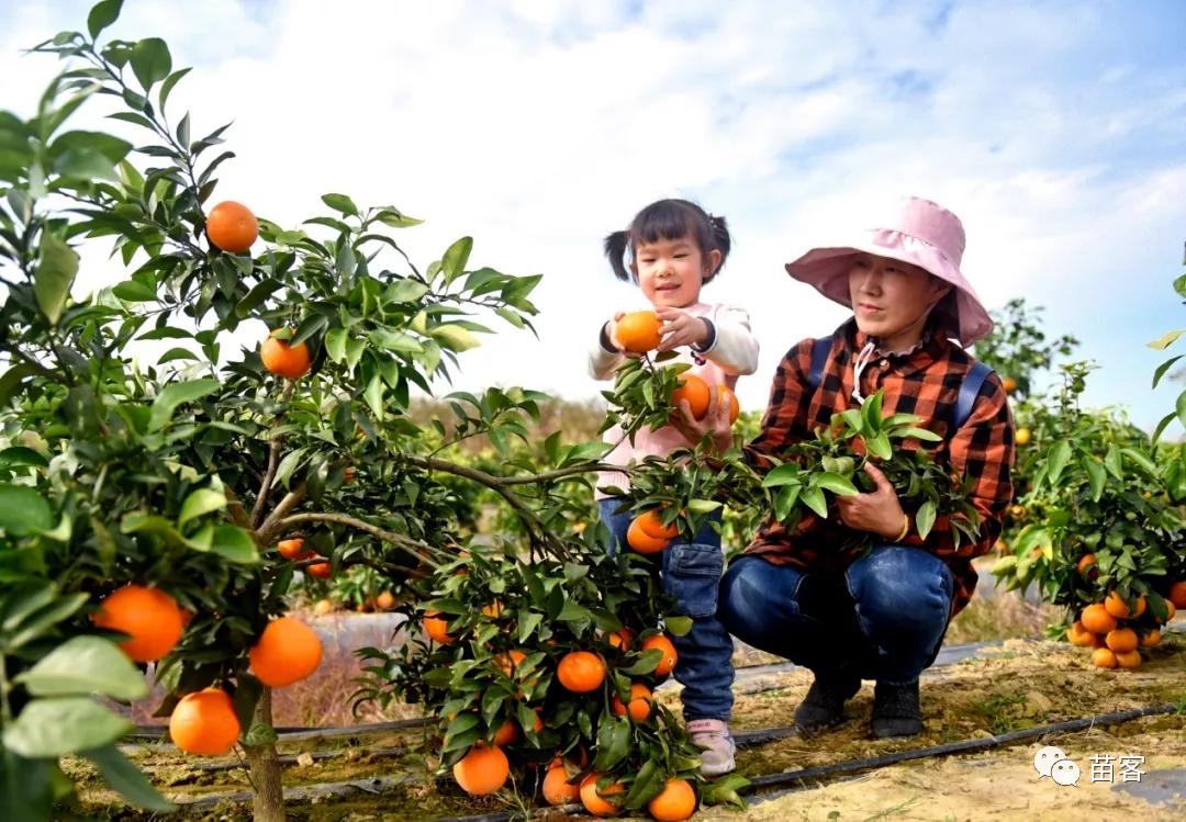 微时光田东,微时光美好生活