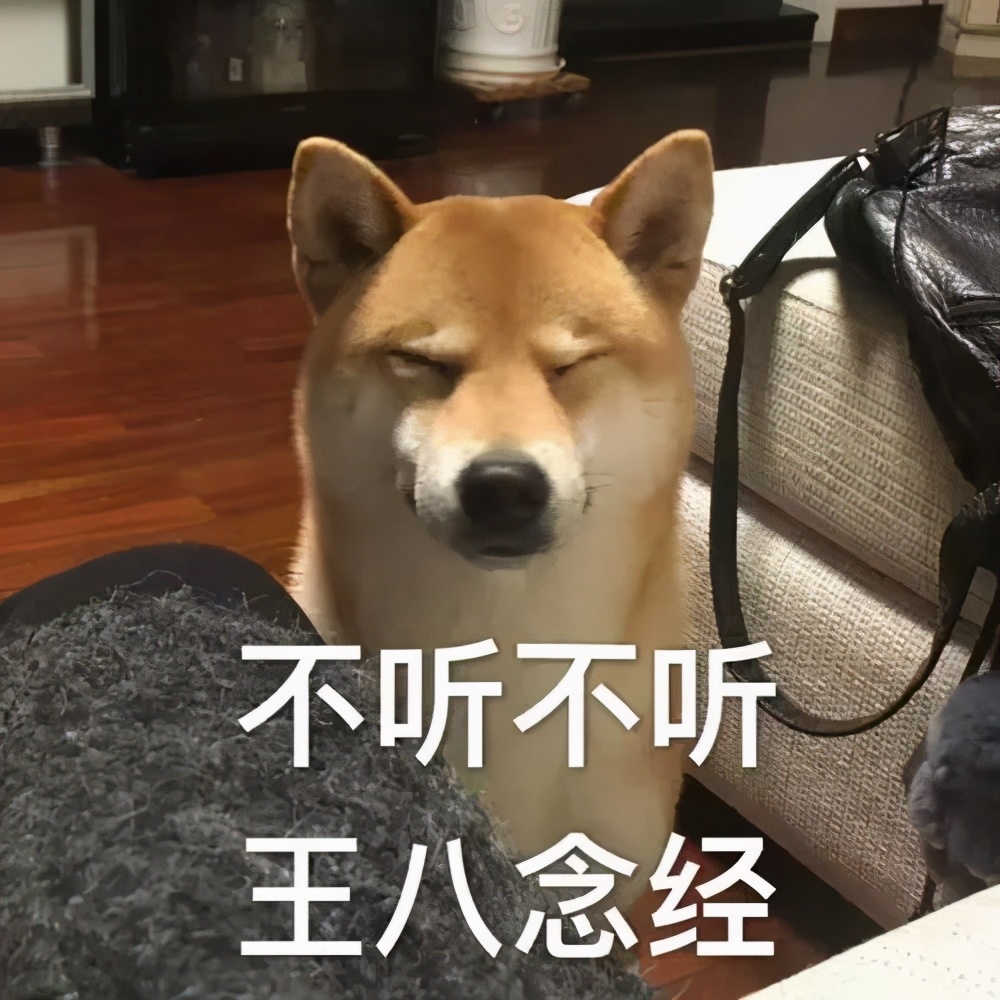 狗狗老往床上尿如何纠正,狗狗领地意识太强乱尿怎么办