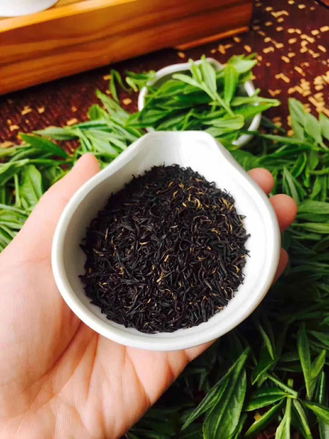 祁门红茶怎么样,祁门红茶简介