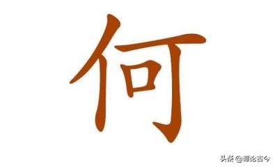 姓氏探源禹,姓氏文化探源