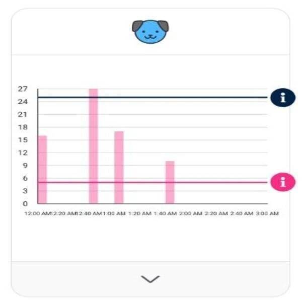 狗狗2021年,2021年的狗狗