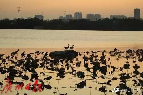 广州绿道攻略,广州旅游观光1线