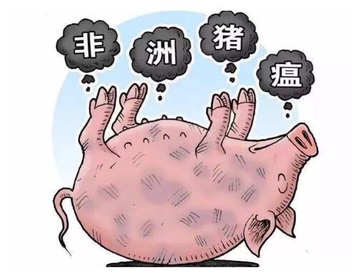 广西紧急部署非洲猪瘟防控!“二师兄”进出必须接受检查