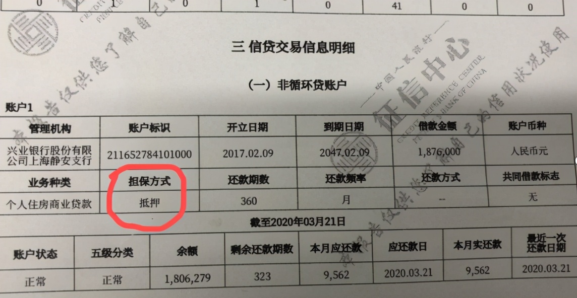 个人信用报告详细版和简单版,个人征信报告怎么看信用是否良好