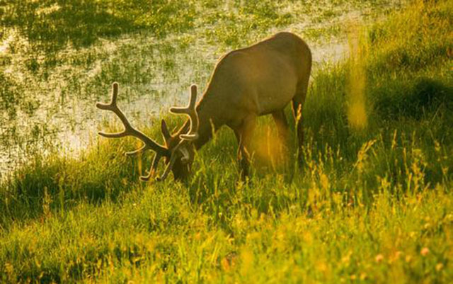 怎么写一封文案策划的简历,文案策划工作简历如何写