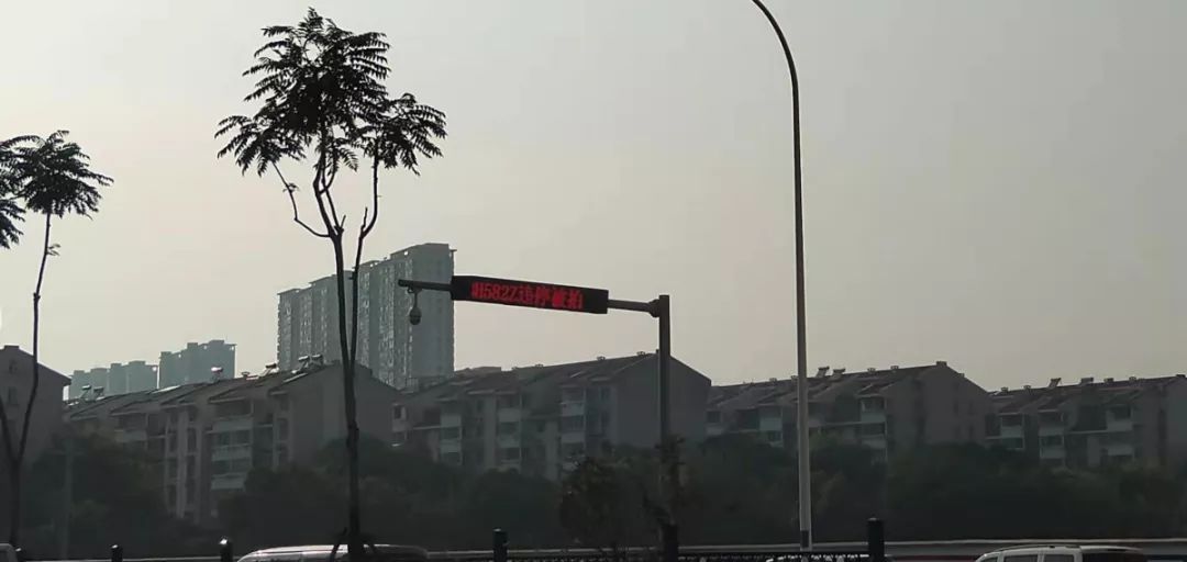 探地水产市场！中产貌平女孩招婿，青年才俊抢否？