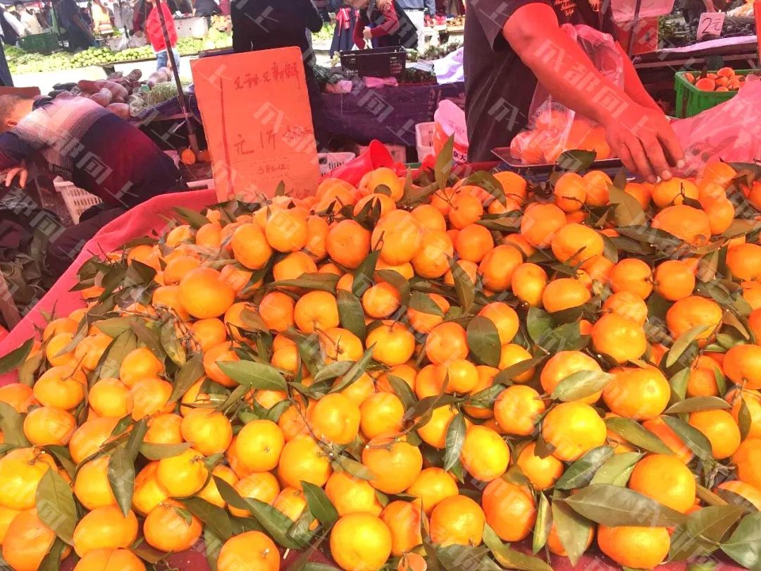 双十一优惠力度空前,双十一物价和平时的差别