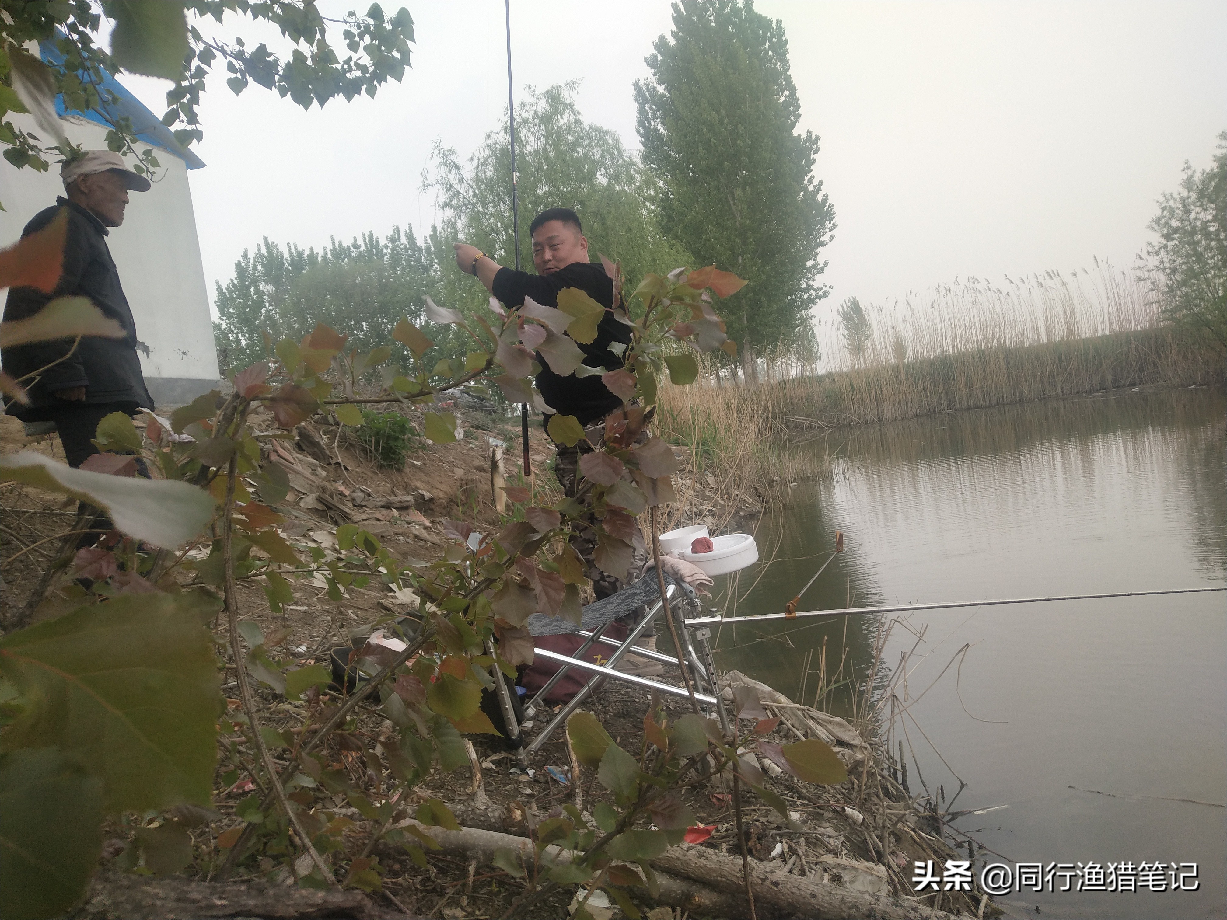 肥水缺氧鱼上浮不开口怎么钓,水肥鱼口不好