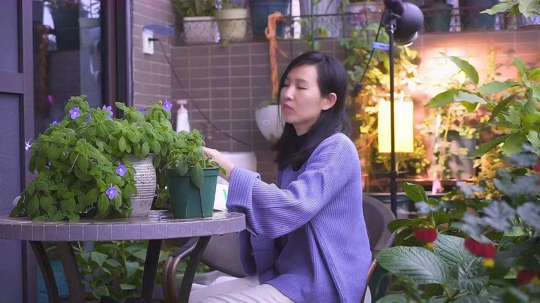 施肥手法,施肥技术和方法