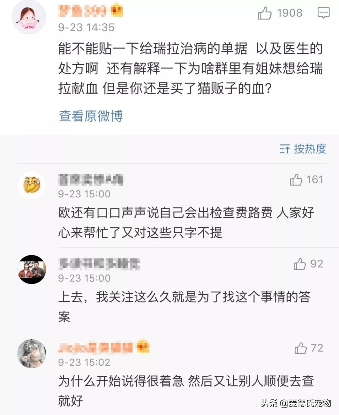 抖音里最火的网红猫,抖音上的几大网红猫