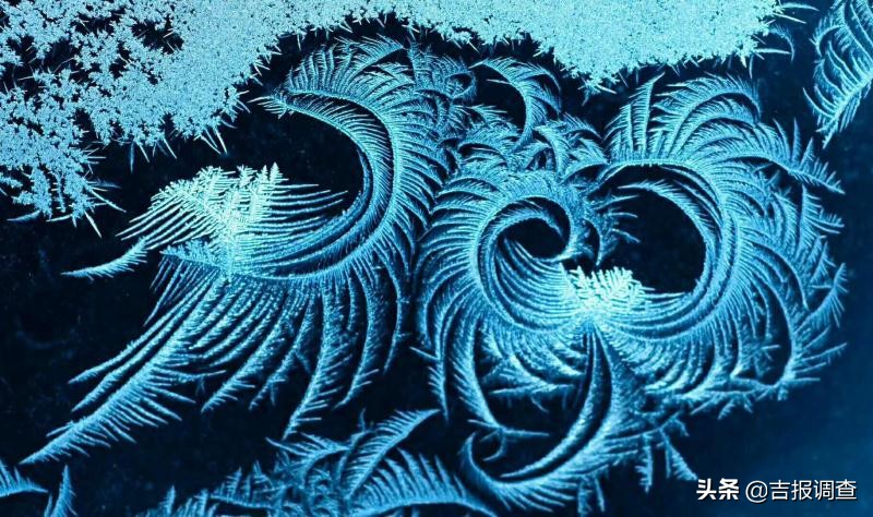 玻璃窗上的霜花像什么,玻璃上的霜花是什么样子