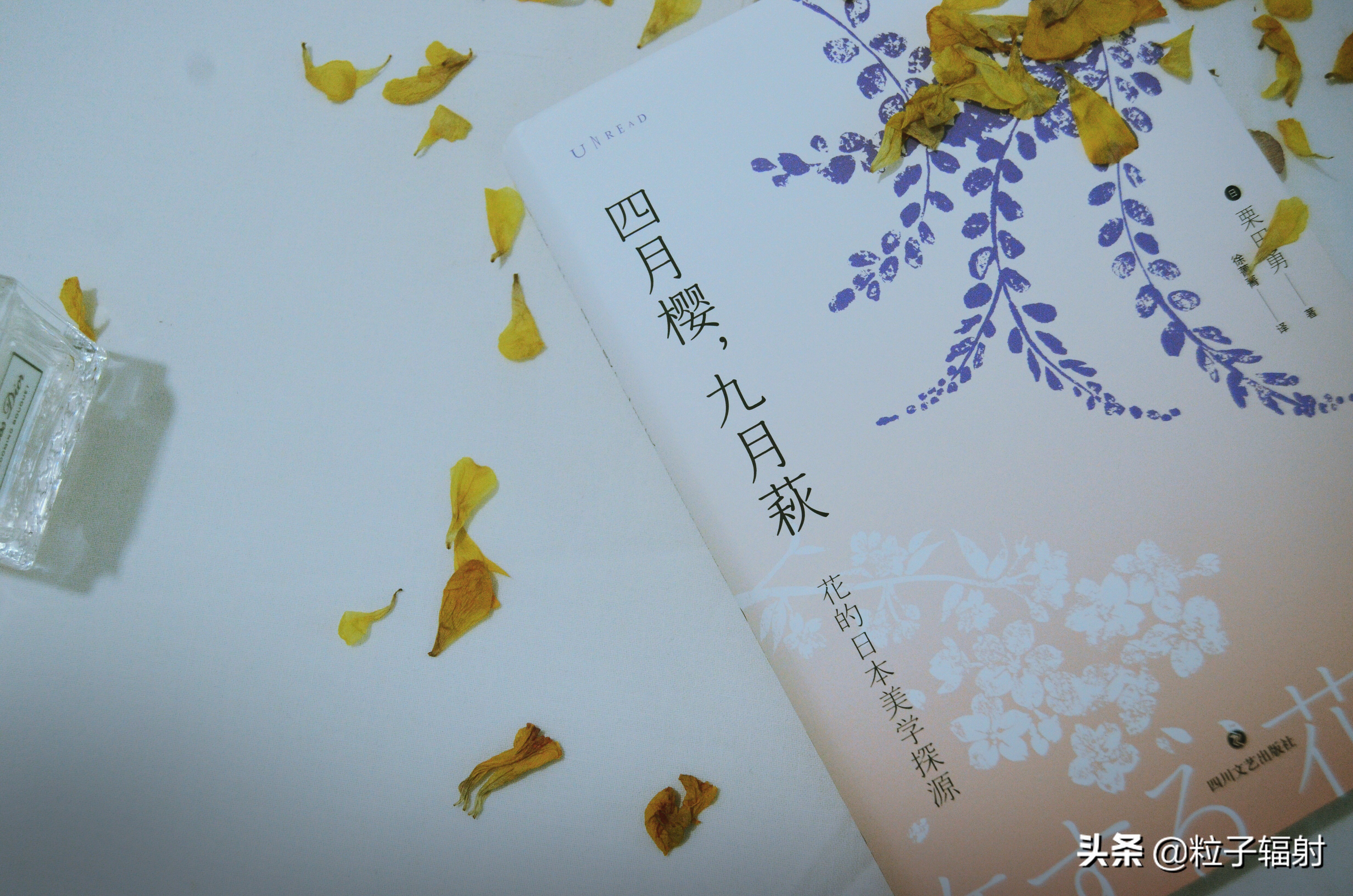 写给春天的告白情书,写一封告白的情书