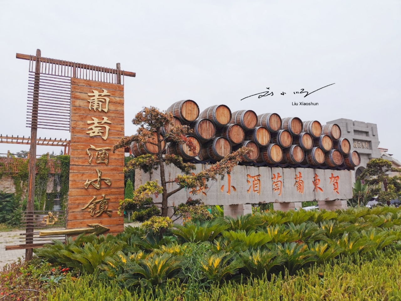 在国内知名度最高的葡萄酒,中国葡萄酒最大的特点在哪里