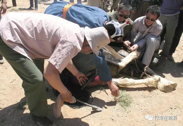 「老行当」(四),咸阳挑客