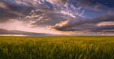 草原监测与风险评估表,草原旅游有什么建议