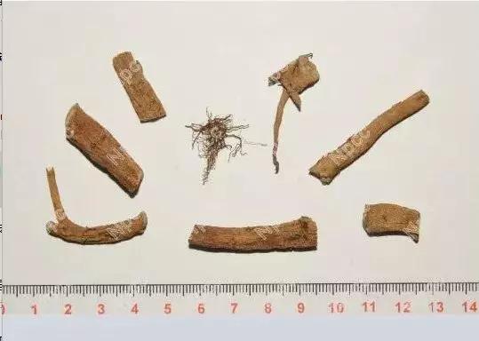 慎用药物更不要滥用药物,乌头类植物都有剧毒吗