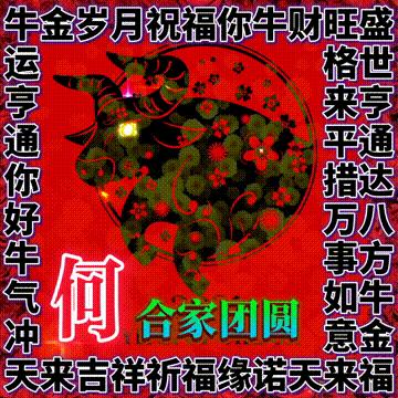 年味文化大餐！最新网络世界符号工具表情包【百家姓】专辑！