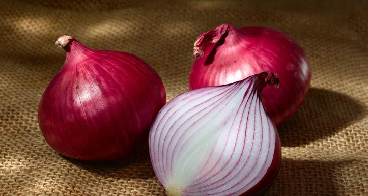 洋葱养花有什么作用,洋葱养花的功效和作用