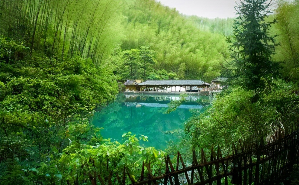 带着狗子旅行推荐,带着狗狗游新疆