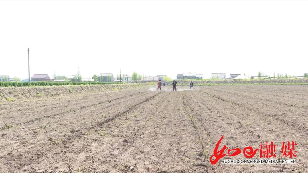 乡村振兴看东源滑滩村,乡村振兴看龙光桥