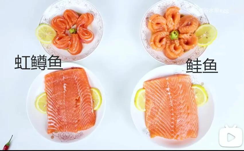 七种鱼不适合宝宝吃,不建议给宝宝吃的鱼类清单