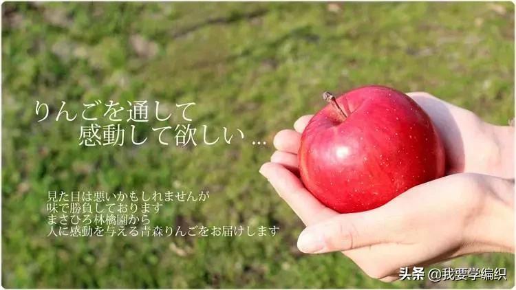 日本天价水果上热搜，苹果100元一个！中国老农却种出奶油富士