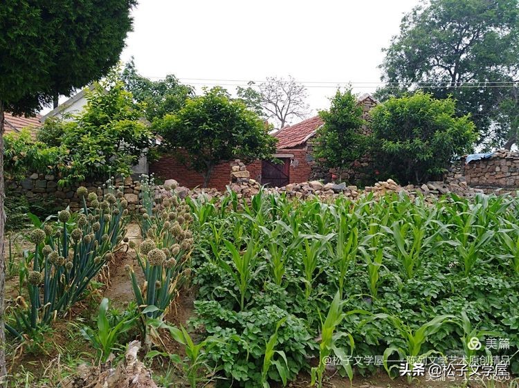 山东海阳李家庄村名的由来,海阳李家庄平房