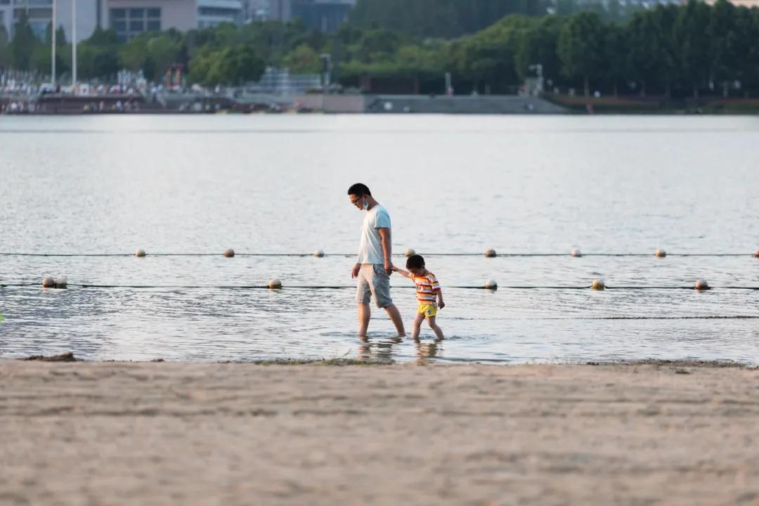 安徽省合肥市天鹅湖,安徽合肥的天鹅湖