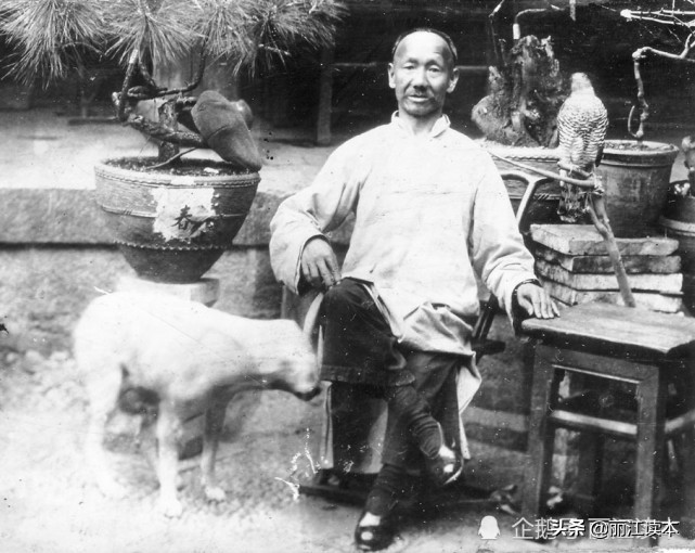 用鹰捕猎,用老鹰捕猎