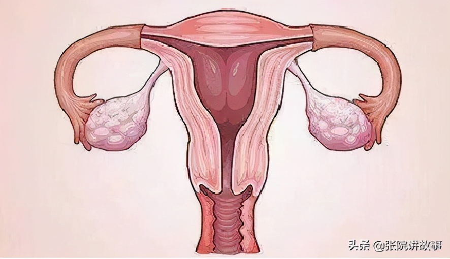 张院谈健康,张院讲短视频