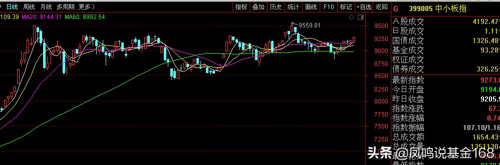 发现好基之中小盘:各种中小盘,盘盘不一样,如何挑选好基