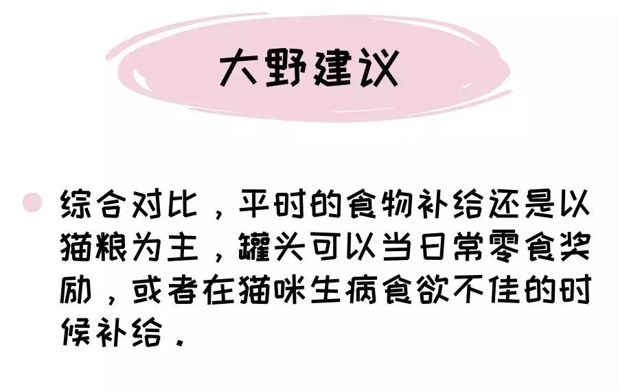 猫干粮和罐头的占比,猫罐头干的好还是稀的好