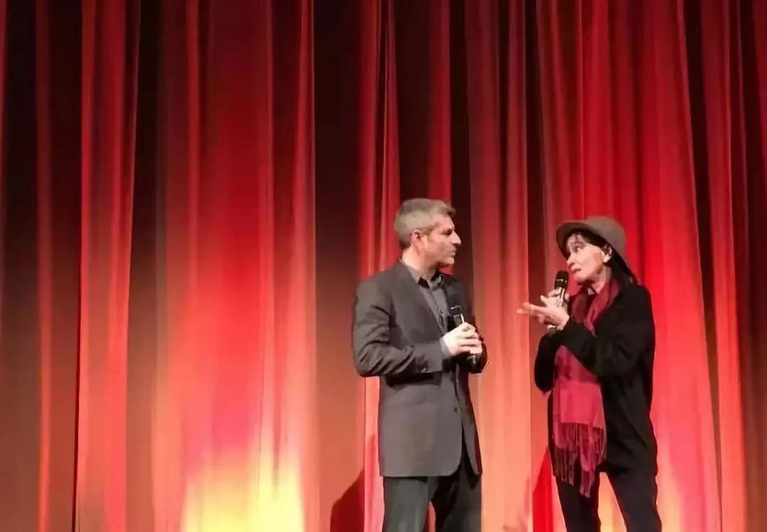 法国新浪潮安娜,安娜·卡里娜法国新浪潮女演员