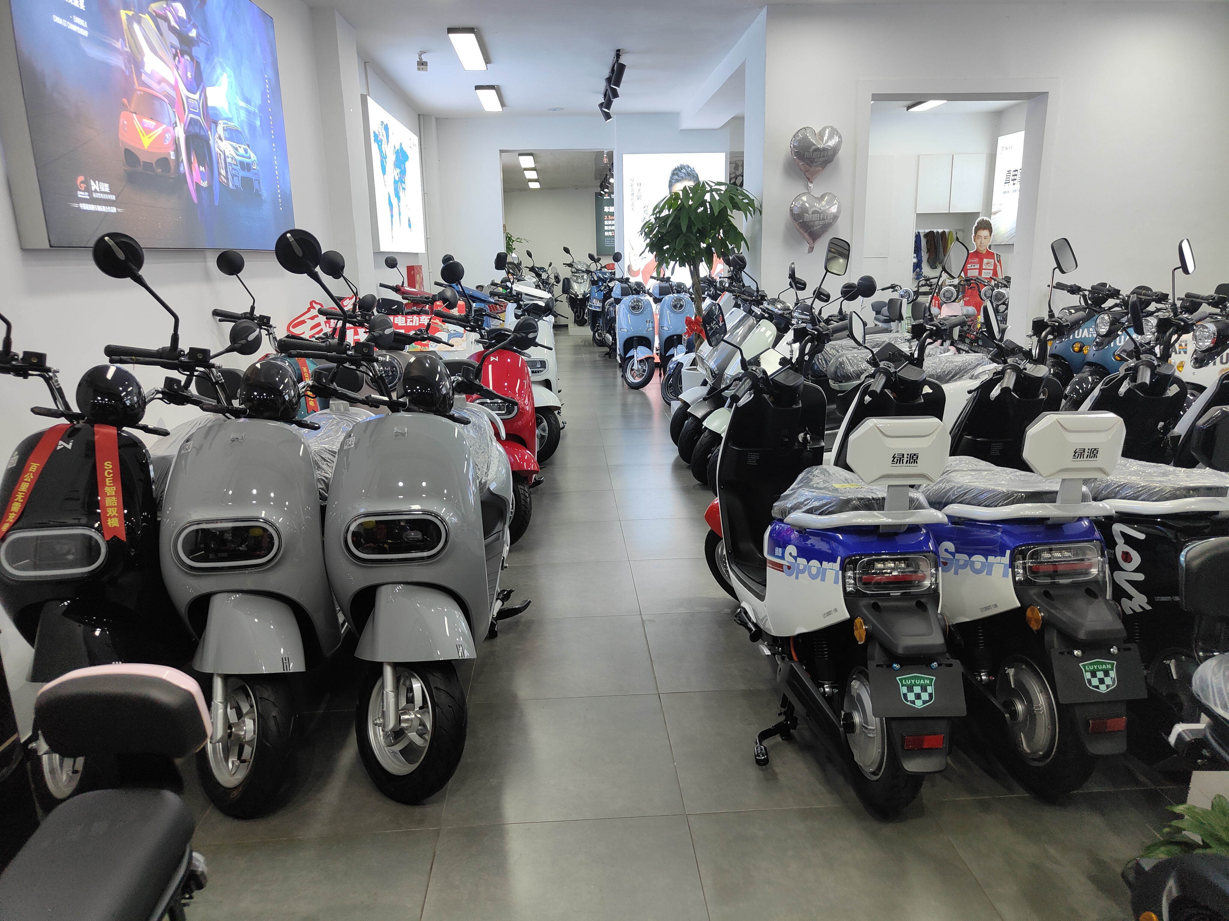 骑上小熊引擎迷你GO:2499,不烧骨油