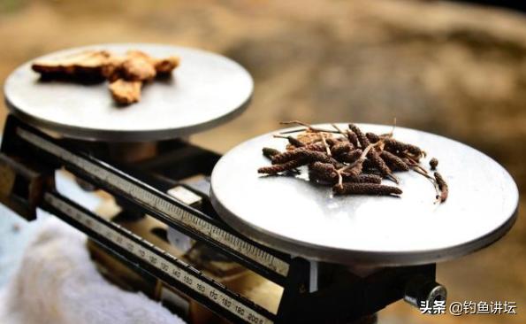 什么药酒都可以钓鱼吗,野钓最实用的丁香药酒