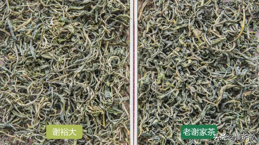 谢裕大和老谢家茶是一家吗,黄山毛峰谢裕大是什么茶