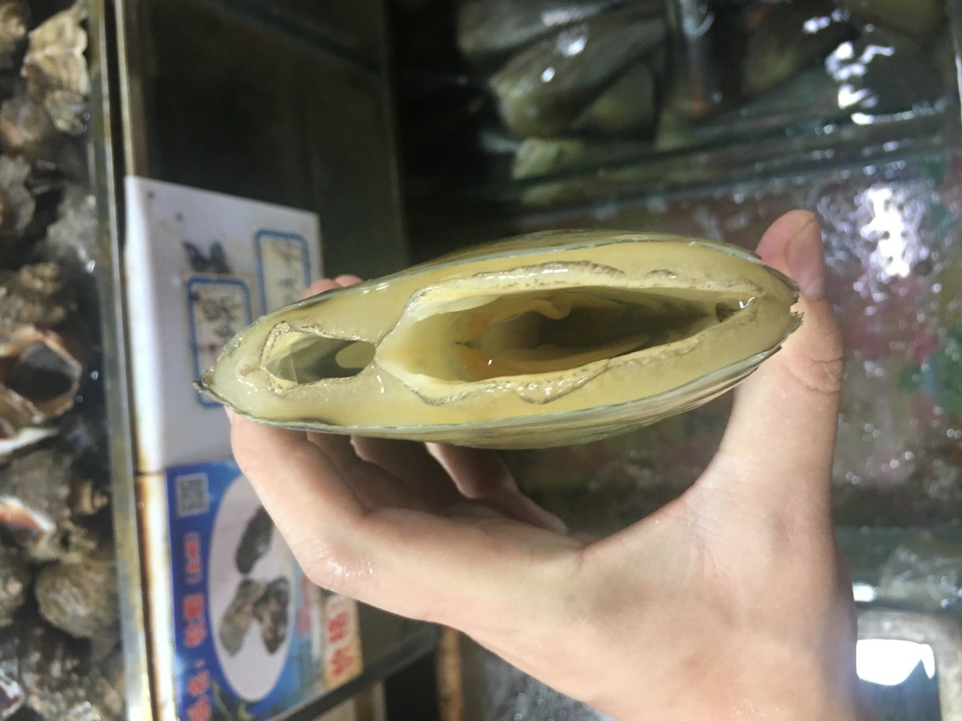 三亚旅游吃海鲜防宰攻略,三亚蜈支洲岛吃海鲜攻略