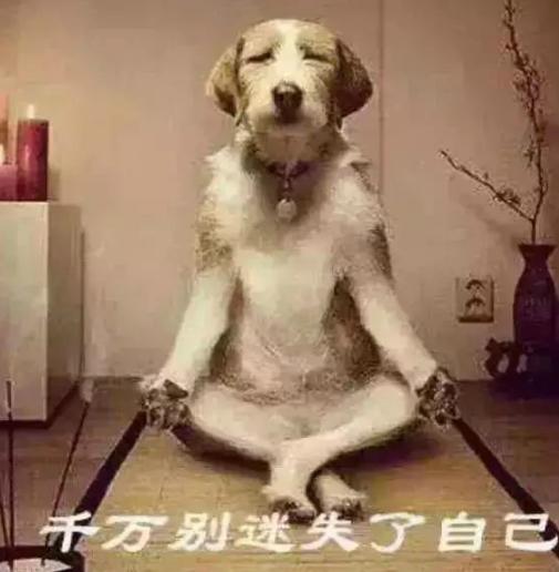 大家觉得谁舞蹈好,顶尖舞蹈水平