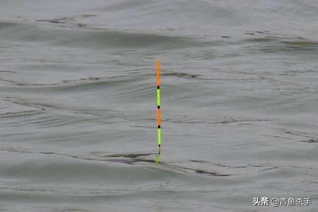 野钓看漂如何准确抓口,钓鱼怎么看浮漂抓口