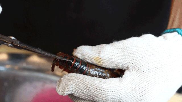 松哥油焖大虾南城榕树下店,松哥油焖大虾多少家店