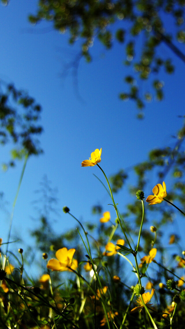 唐代宰相的一首谜语诗,写风入选小学课本,短短20字成千古名篇