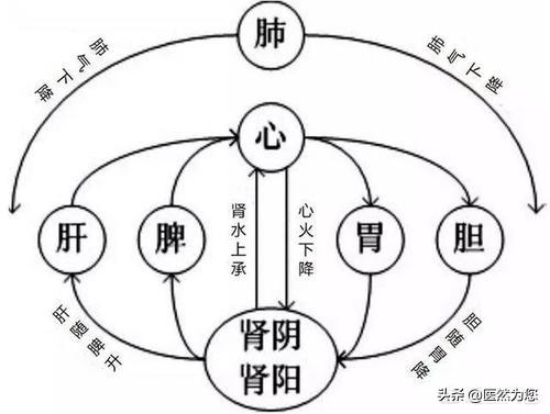 气机不畅气滞按哪个穴位通气,中医的气机不畅怎么调理