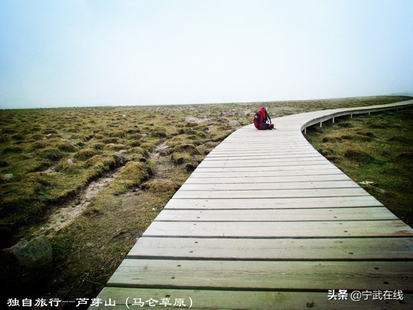 宁武芦芽山悬崖栈道,太原出发芦芽山马仑草原自驾路线