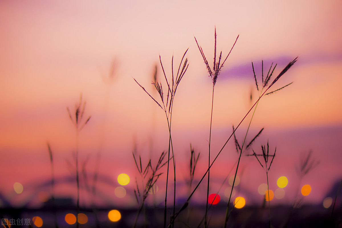 非常讨厌别人命令自己的星座,什么星座讨厌别人的命令