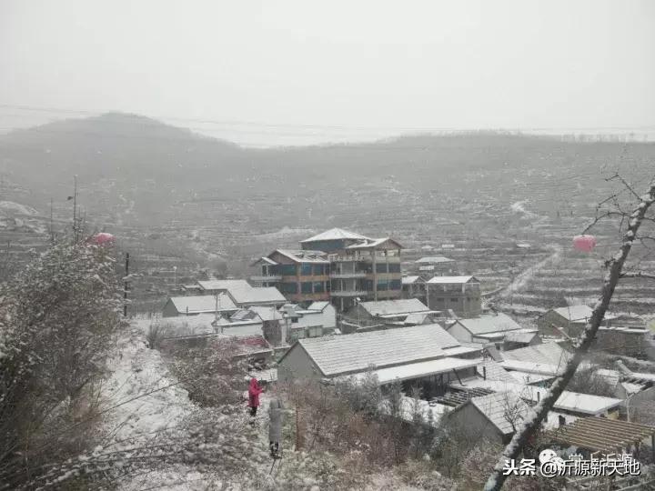 雪中的洛川红富士苹果,雪中的红苹果