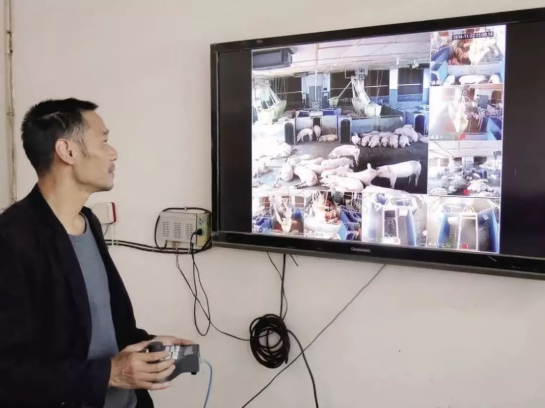 马云说养殖行业,未来养殖行业前景